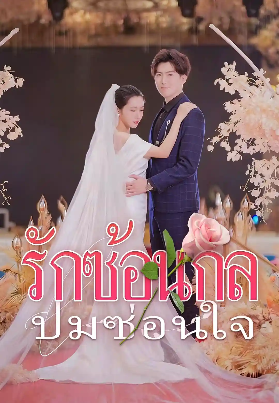รักซ้อนกล ปมซ่อนใจ