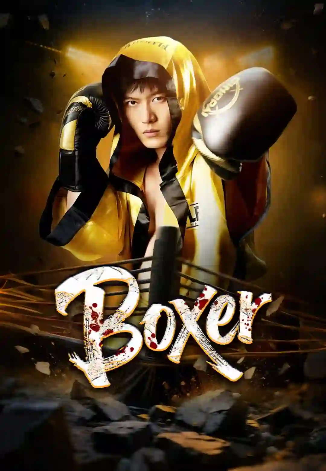 Boxer