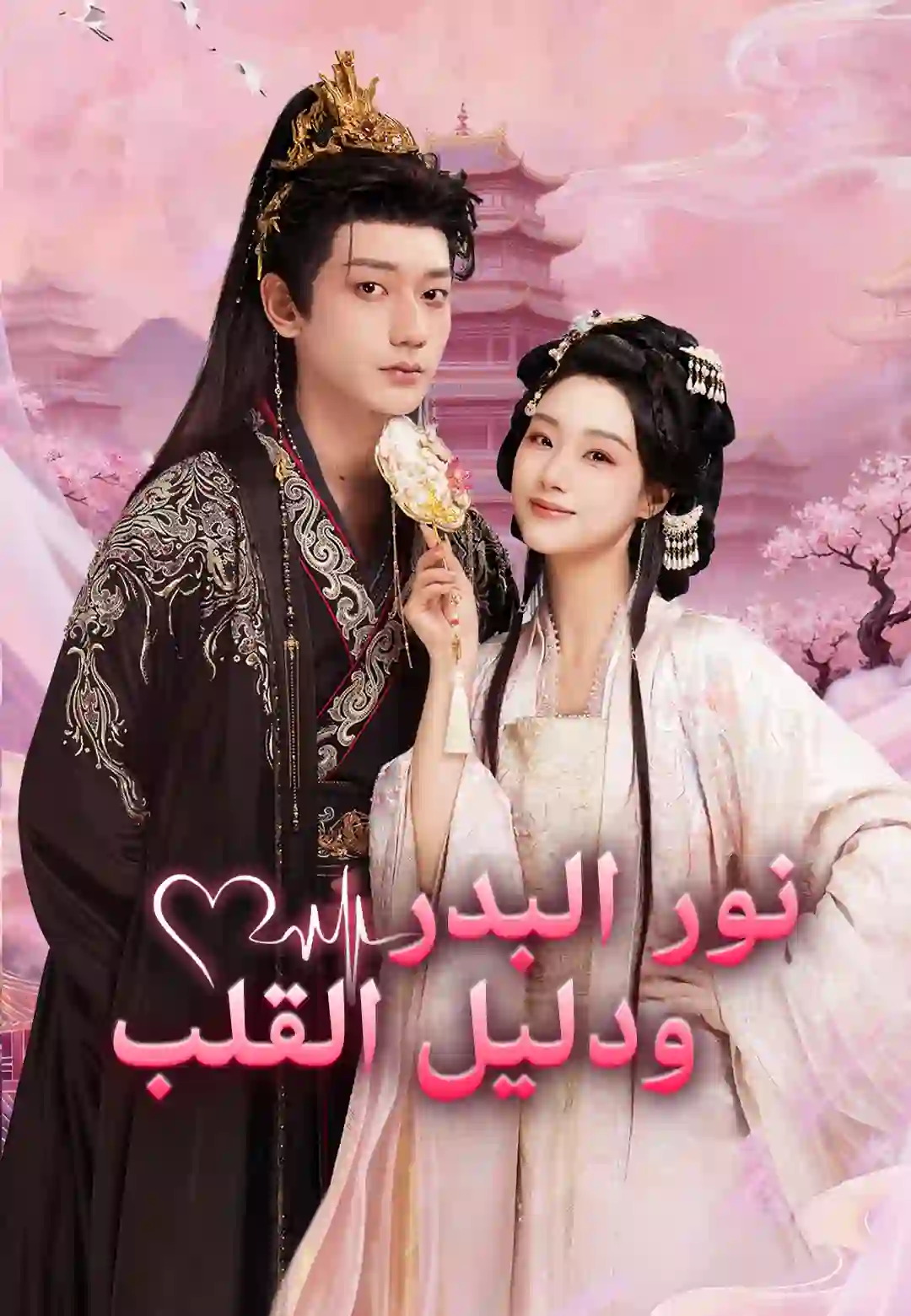 نور البدر ودليل القلب