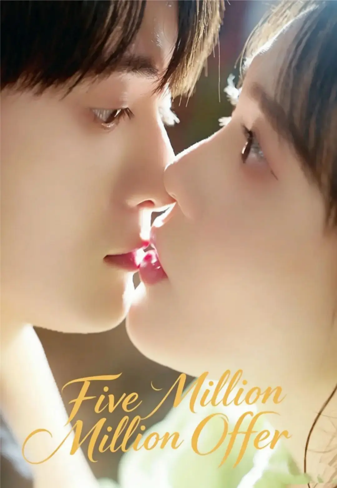 Chinese Drama The Five Million Dollar Offer with subtitles - poster