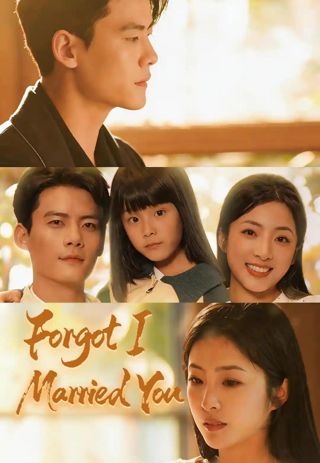 Drama China I Forgot We Were Married sub Indo - poster