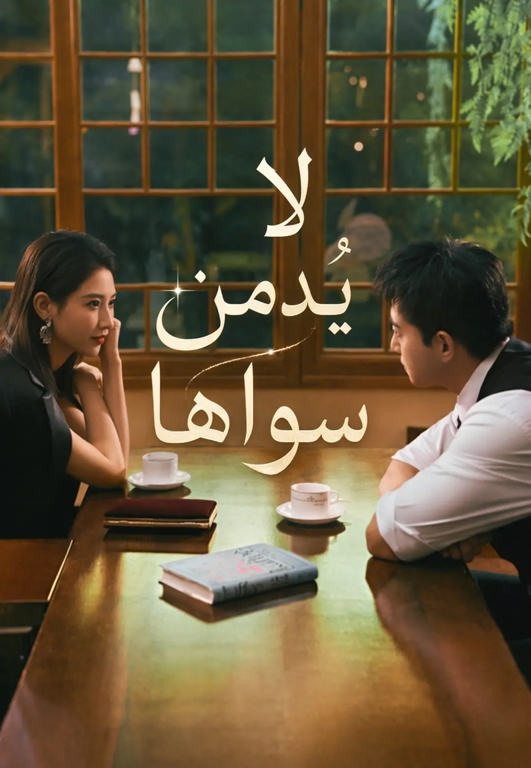 مسلسل لا يُدمن سواها