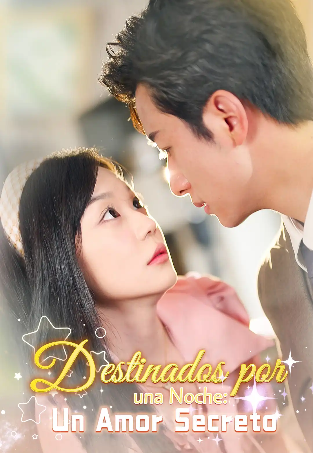 Destinados por una Noche: Un Amor Secreto