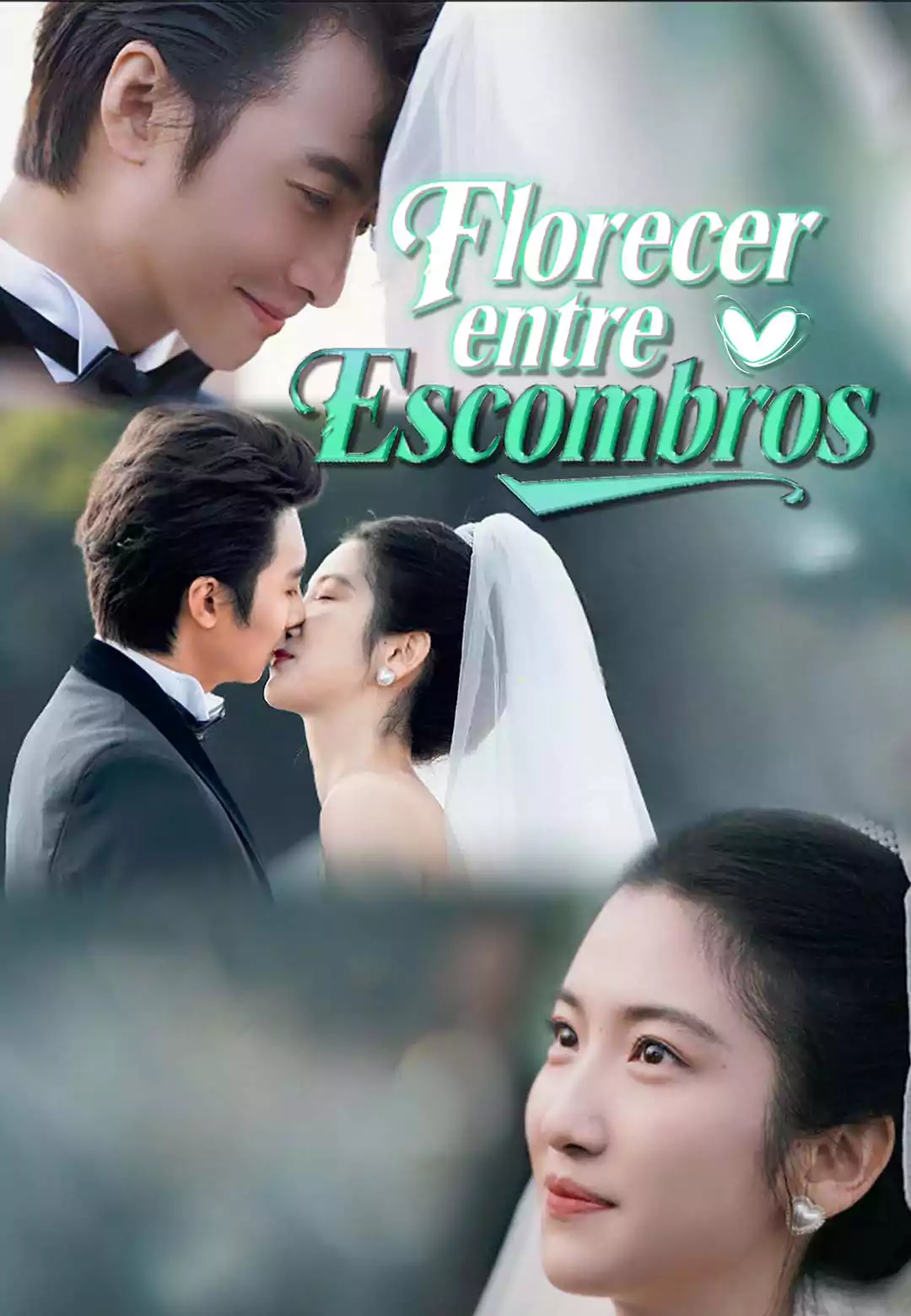 Florecer entre Escombros